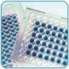 Immunoenzyme test- system for diagnostics of pseudotuberculosis and yersiniosis Immunoenzyme test- system for diagnostics of pseudotuberculosis and yersiniosis